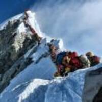 E8d19d56096ad03bc55ce1393b9614ea44ab40c5