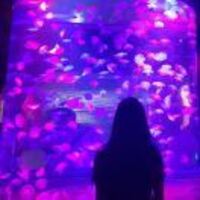 18215abdb3804708faf915f1c2f2e9c5feefbb39