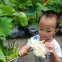 1e09dd3727ba7b5b64e413647eba098c2748608c