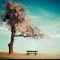 C8333a2d544d08ab650d9c0fae930440b1eb415c