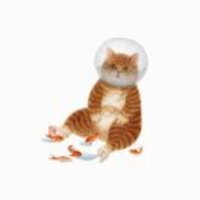 F3e09fa98bcba89bcc79ac38b51d097e98d50541