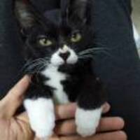 878c768e76911e443c81af4fea70f9e1c452c562