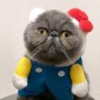 27677ae7bf83ed9ad7944c40d7b88dd03110e45e