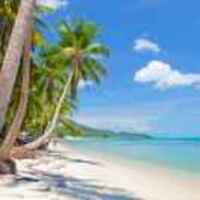 A31c10c095607ba19d8c3f8ca9aa8316c85a81a6