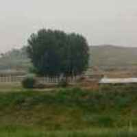 217270c3165192189907721e58a520ca90db1559