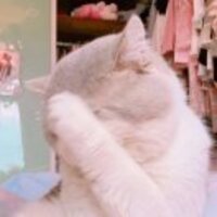 97108c7fa726b65b053bdc7e003a3bf5d4a2f721