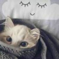 8f24c773a7c9ba38402ca44a03f9fec65c3b5b37