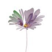 9e4c97260e8a21f1a4b4881854816c1ce0b1a7dc