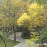 A2e137094f146f4c96fd2ca3bacb15cb04930747