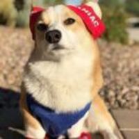 7d64ad3787e388a6b1bd1c42f39ffb63eb0200bf