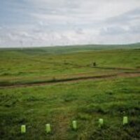 1096124e1eb0081e089ae7137ae6f811bf3538c9