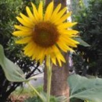 943cf2cd7ace9cd67d8f2590a9884e497e105dd7