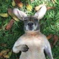 Fe9edf474b547ac98d1bf0f4f44a306385993822