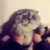 1d5d4e8bc7d2dba5e1f5474d7f61036551f4afcc