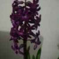 944eb346d2ea3cb31b9e5ef6c077b70960321d9b