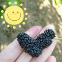 C13fd180ea1cb37156c23a6734cb7b5ced935f95