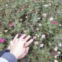 3f5894dcc9458ab9650e7a7e9ed84440ac1772de