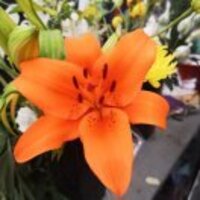 759d4b03d49881107ff4bdccbe6e44c98a11c132