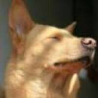 A5447cc9f9f3b6c81d00765c48054be82d0d4210