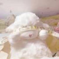 2df4ee2027a6f83f4c456228b75aac500827b7bf