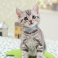 D0a194198406ea64da8dd60b20cabcf7efd34edd