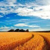 3f5f4465c8160e4ba70cd924b6d43454e5d47d6b