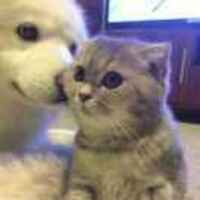 C6b1943465244a45aa67698f3731ba9421f45e4e