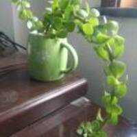 68f46337bcbe346972680e5df2b899b30123dc73