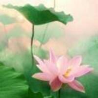 6d46ffdbb66c80deb281ab9a71d4070dd594c288