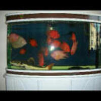 8722b49e9096e1ee459f7209653695bbc80ecdd1