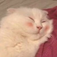 B8f5a96668d4f7ef11cc40c9c1f5815917553fee