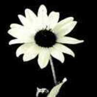 04f79420714e47c629504b47532cd334c0720005