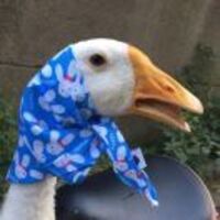 50c62cca3c3216597ab851d9fd219363fa53766e