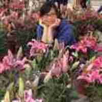 559822128e9332cb77c1dcae26311429bcbaabe3