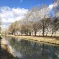 805f2d23af924a55b784c5cf22611d05541cc32b