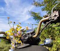 583251ae09d97899614f4d8fd767a19afd0aea69