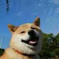 F47ad5255f9c26b799b1fc497e60feb42080ef4f