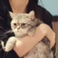 8ec909b24c8fc8dff7948065262d091b3644e45a