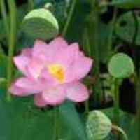 4a5aee8fbbc0d52b6ec4cad175ddb013188d9df0