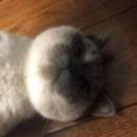 Da7531e87d836888706685db300137af0750acf2