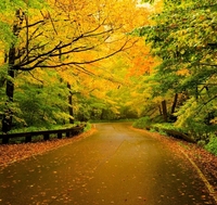 0705d88ad69c48cceff5ae670d4e60134bee01a5