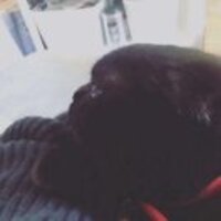 F32db79dc3ec068c0815960a19deed3f180f9cac