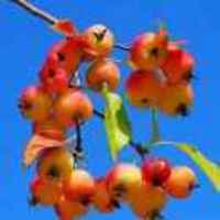 9f9462876a3eb9f4d13a6564cc4e9e9f2e84cf7f