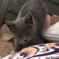 Cb405db3b50f2a93d5098db0552ffc420c8deea8