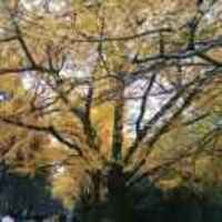 6cf3972082494f691216cfd80d65f2998ee220d7