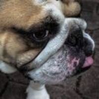 405c64e514dde9b44062276c0022a95e22e3820f