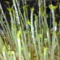 0689c93242f676f3a4ea480fd463f701aede40a6