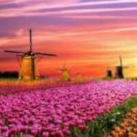 089d48f1afa391c16211becdea924879c578d212