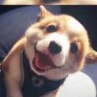 B65e36fd63c6b739dd9562c4c0205db69159284d