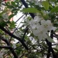 993224d37a4d7187151150da76533dd99dc4527d